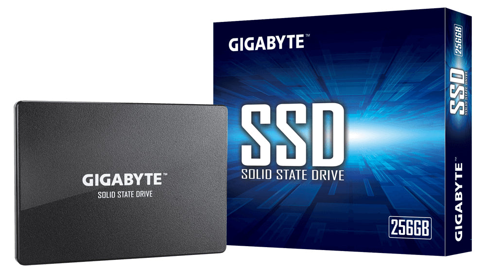 Unidade de estado sólido interna GIGABYTE GP-GSTFS31256GTND