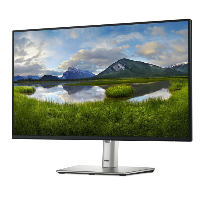 DELL P Series P2425HE computer monitor 60.5 cm (23.8") 1920 x 1080 pixels Full HD LCD Black