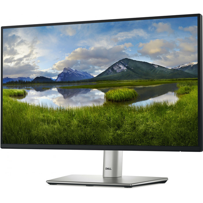 DELL P Series P2225H computer monitor