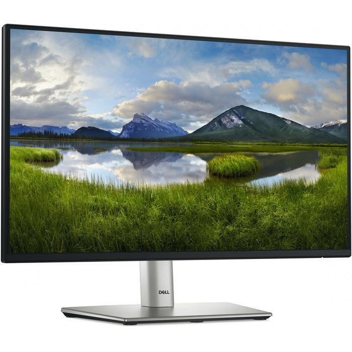 DELL P Series P2225H computer monitor