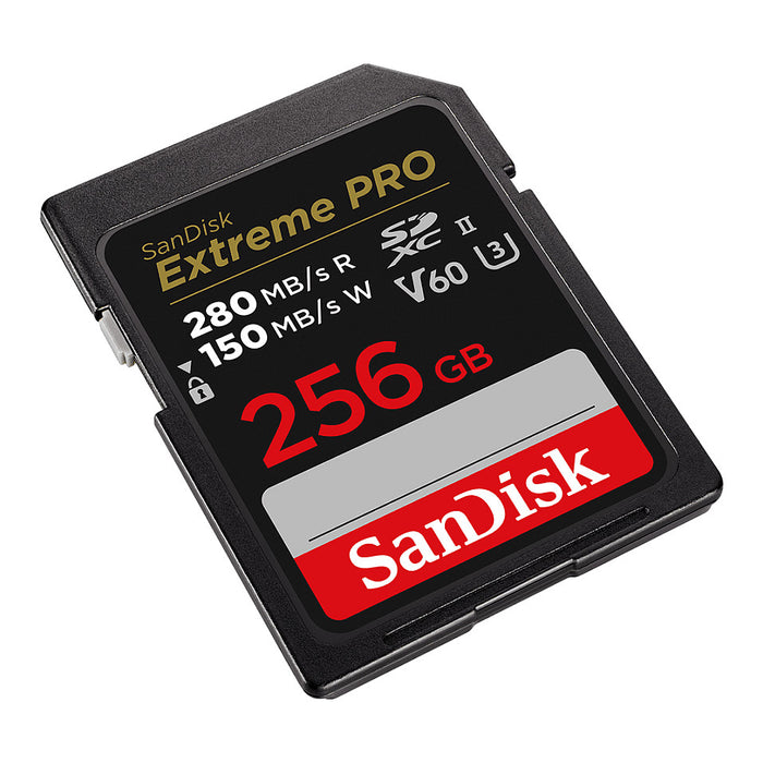 SanDisk SDSDXEP-256G-GN4IN memory card
