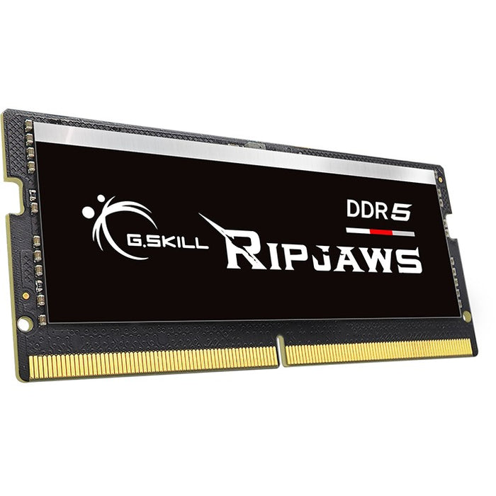 G.Skill Ripjaws F5-4800S3434A16GX2-RS memory module