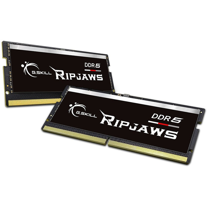G.Skill Ripjaws F5-4800S4039A16GX2-RS memory module