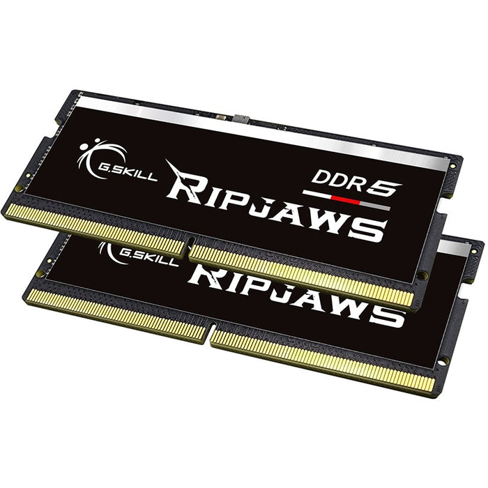 G.Skill Ripjaws F5-4800S4039A16GX2-RS memory module