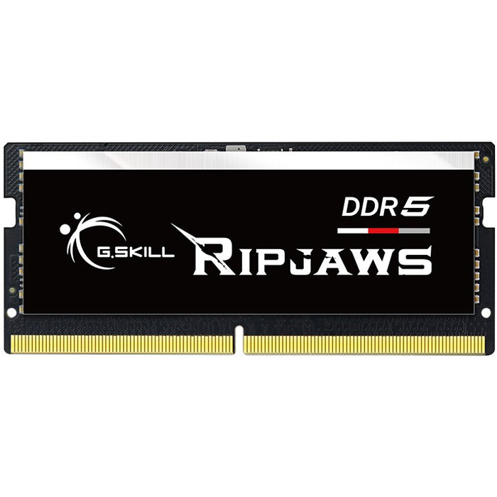 G.Skill Ripjaws F5-4800S3434A16GX1-RS memory module