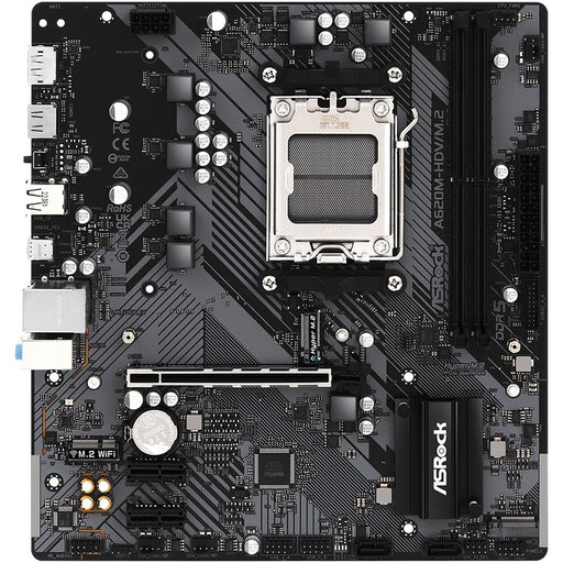  AMD