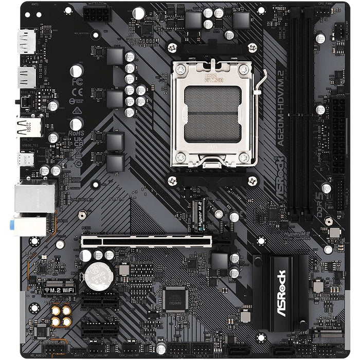  AMD