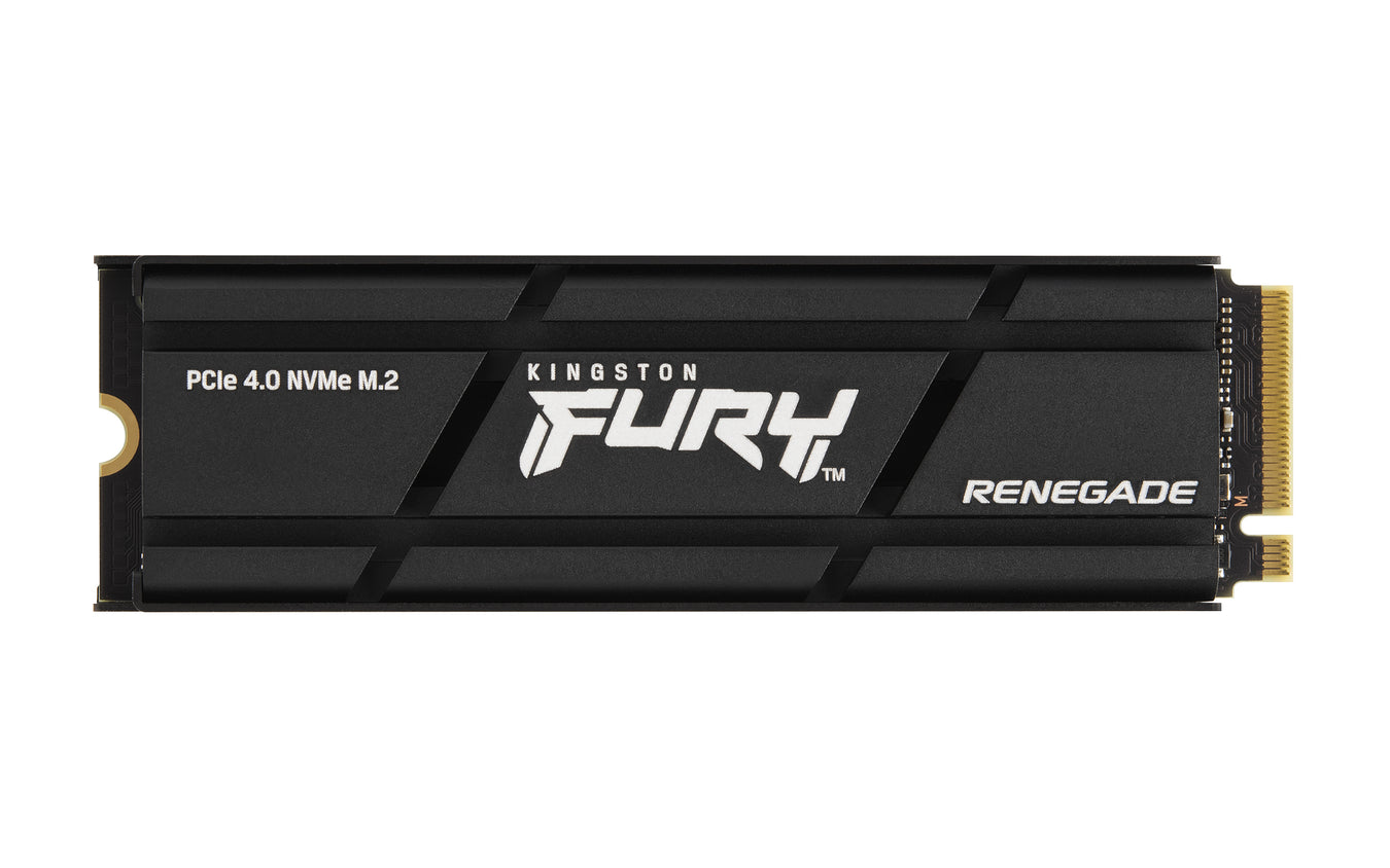 INTERNAL SSDs