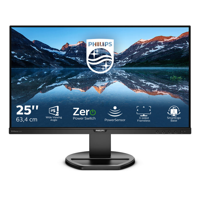 Philips B Line 252B9/00 computer monitor