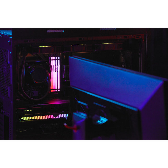 Kingston Technology FURY Beast RGB memory module