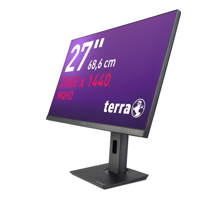 TERRA 3030223 computer monitor