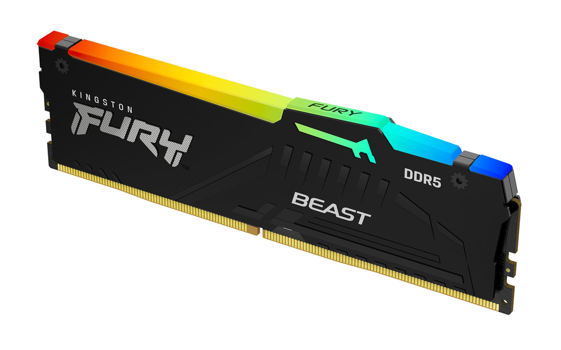 Kingston Technology FURY Beast RGB memory module