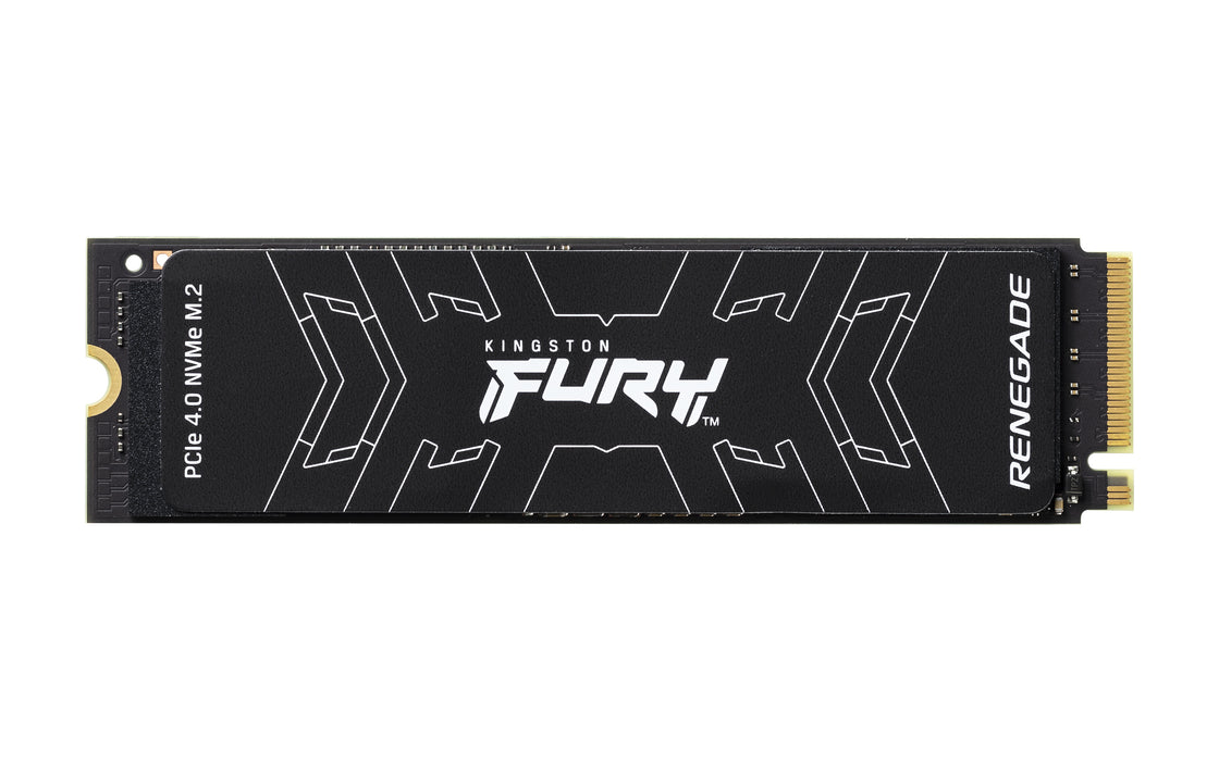 Kingston Technology FURY Renegade