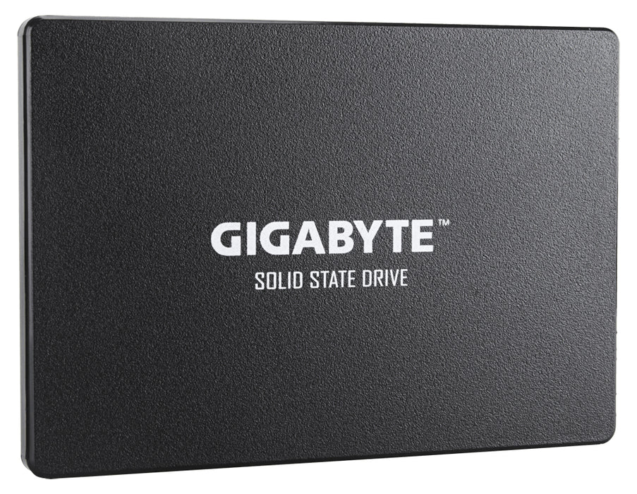 Unidade de estado sólido interna GIGABYTE GP-GSTFS31256GTND
