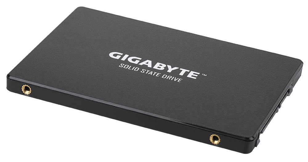 Unidade de estado sólido interna GIGABYTE GP-GSTFS31256GTND