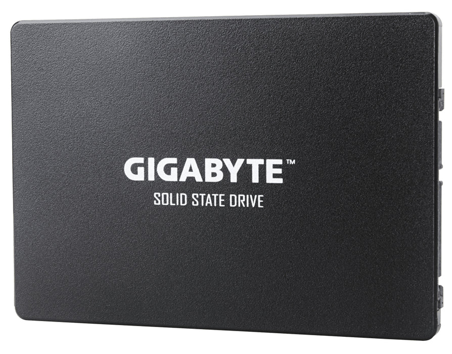Unidade de estado sólido interna GIGABYTE GP-GSTFS31256GTND