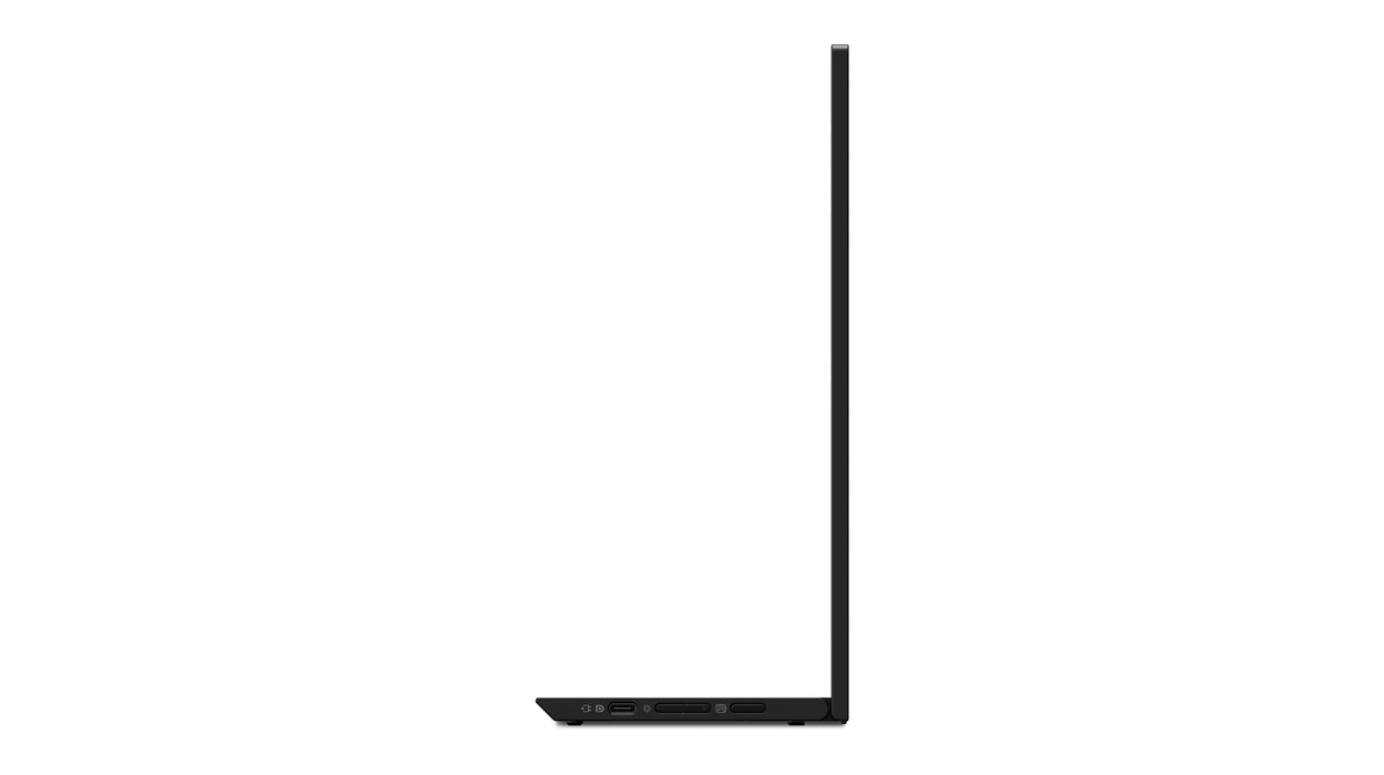 Lenovo ThinkVision M15 LED display