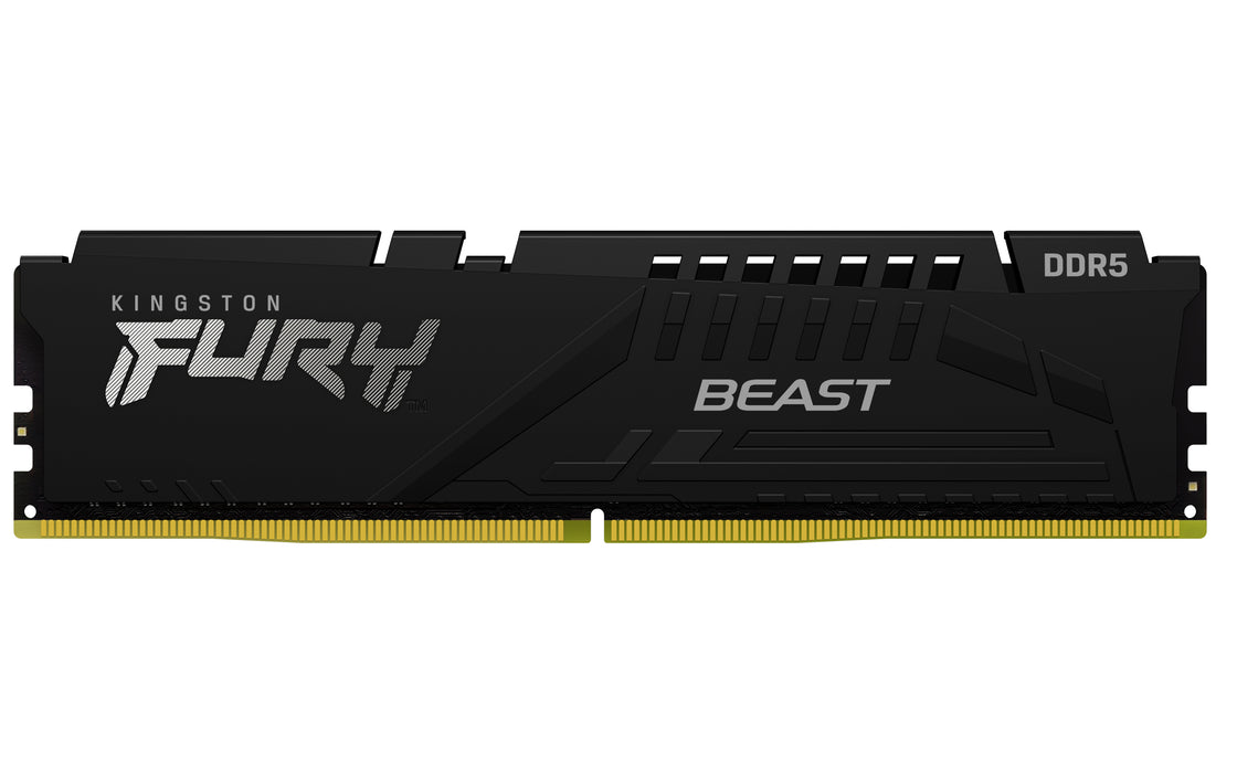 Kingston Technology FURY Beast memory module