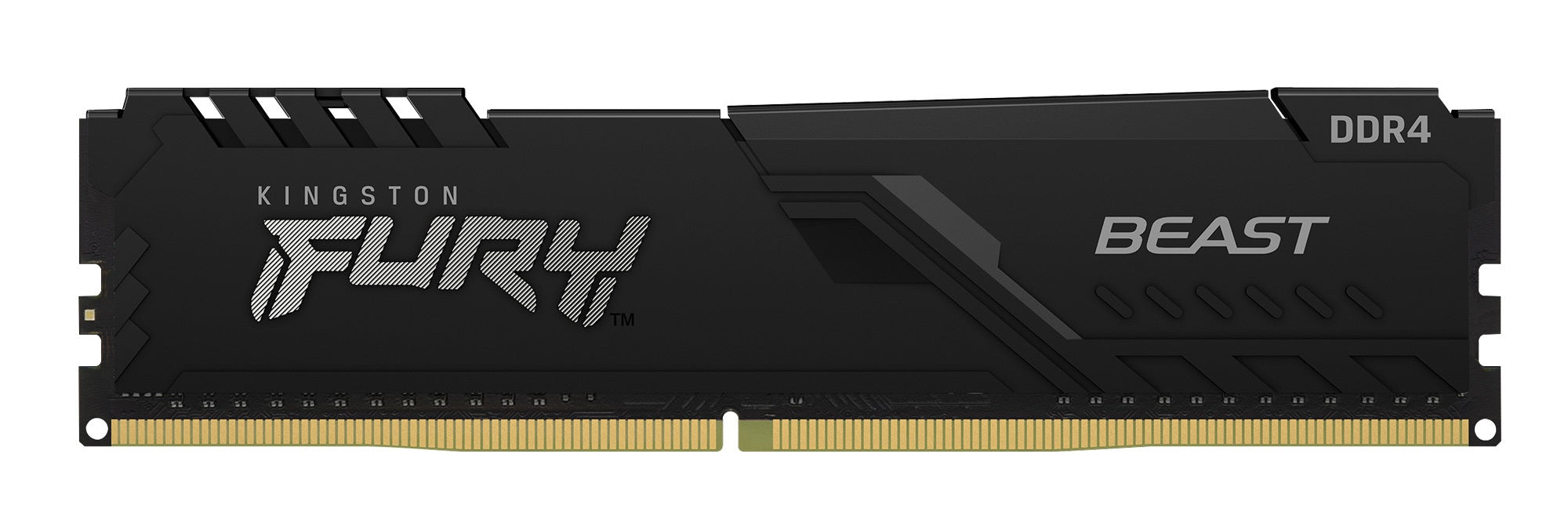 Kingston Technology FURY Beast memory module