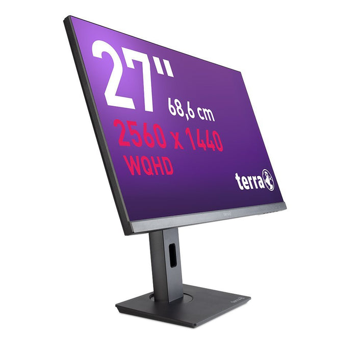 TERRA 3030223 computer monitor