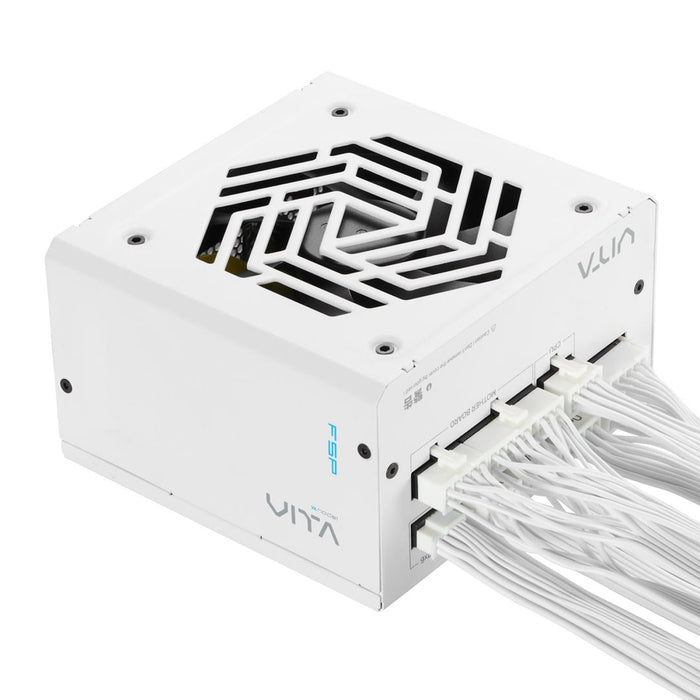 FSP VITA GM 850W power supply unit