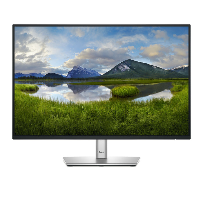 DELL Pro Plus P2425 computer monitor