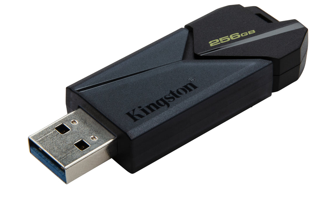 Kingston Technology DataTraveler Exodia Onyx USB flash drive